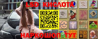 прущие грибы Канаш