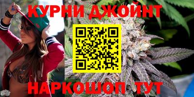 прущие грибы Канаш