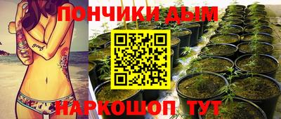 прущие грибы Канаш