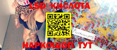 прущие грибы Канаш