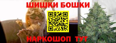 прущие грибы Канаш