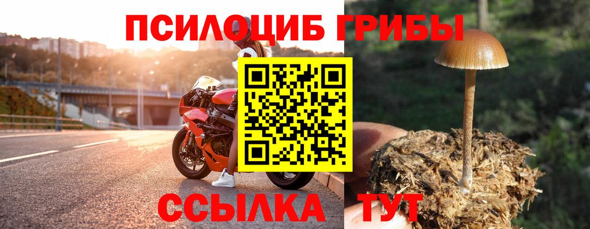 Псилоцибиновые грибы мухоморы  Вход с VPN  Камень-на-Оби 